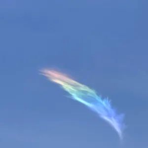 The Es
